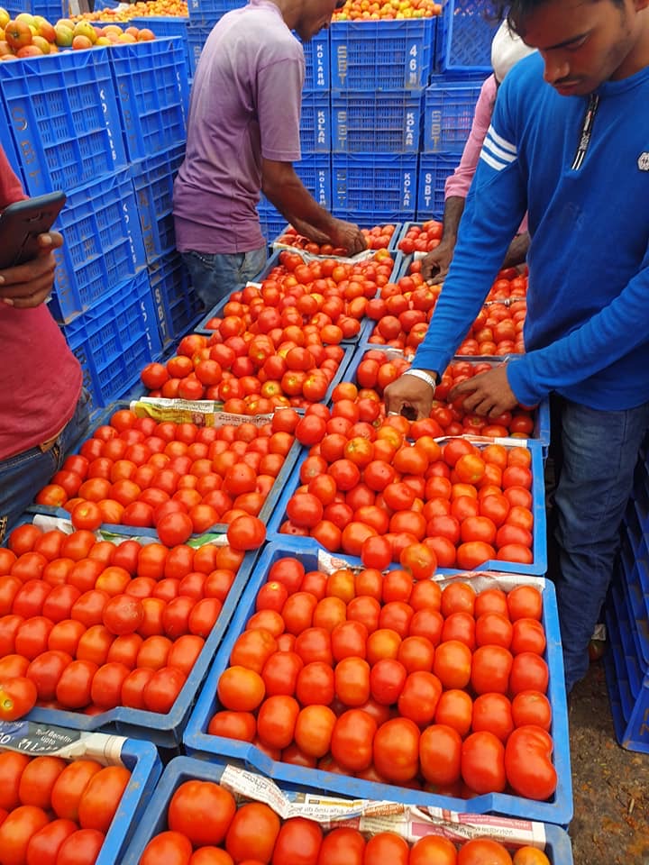 Busy Indian market yard where LTC trades produce