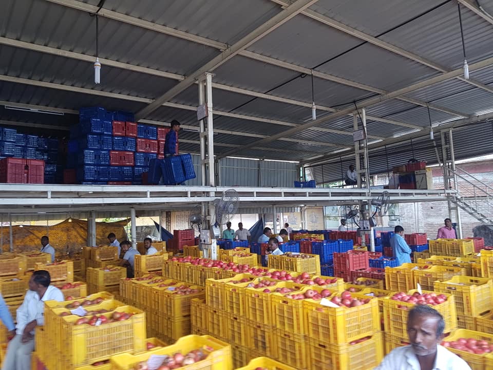 Fresh red tomatoes stacked in crates at the market