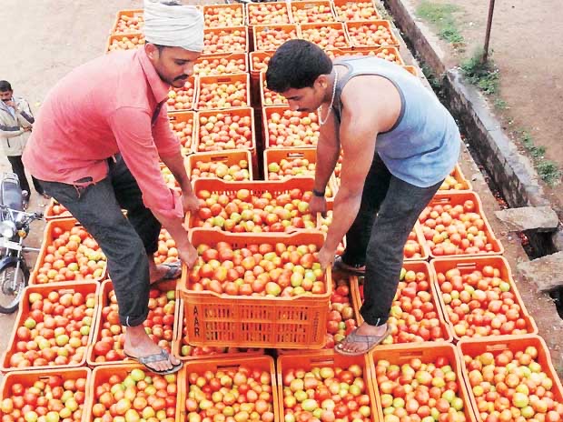 Laxmi Trading Company operations